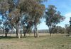 Lot 2 Garra Road, Molong