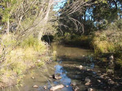 Lot 19 Silent Grove, Torrington