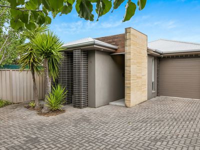 3B Acacia Street, Plympton Park