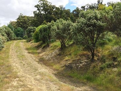 130 Bermuda Road, Glen Huon