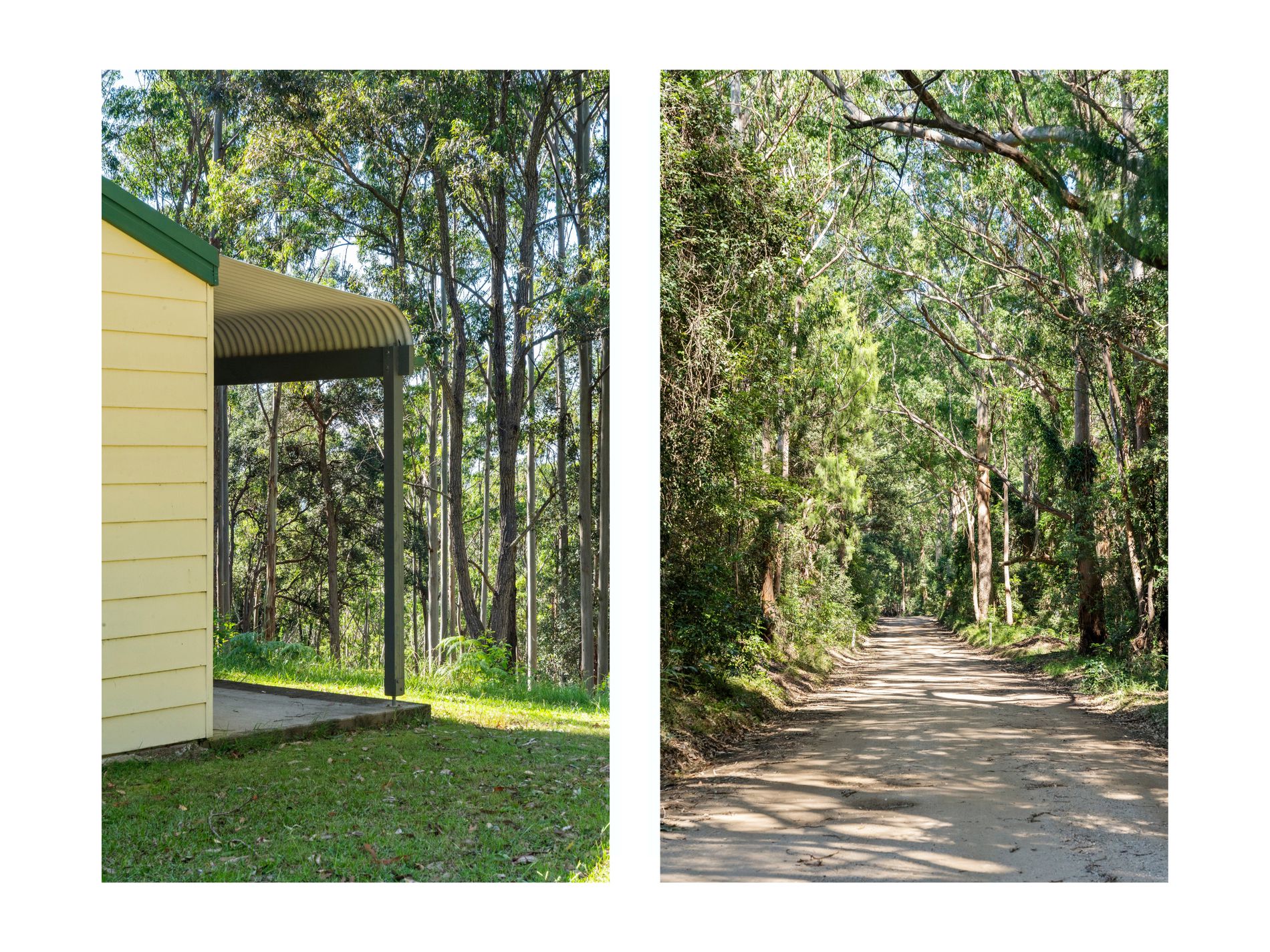 520 Monkey Mountain Road, Morton