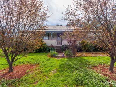 56 Lime Street, Geurie