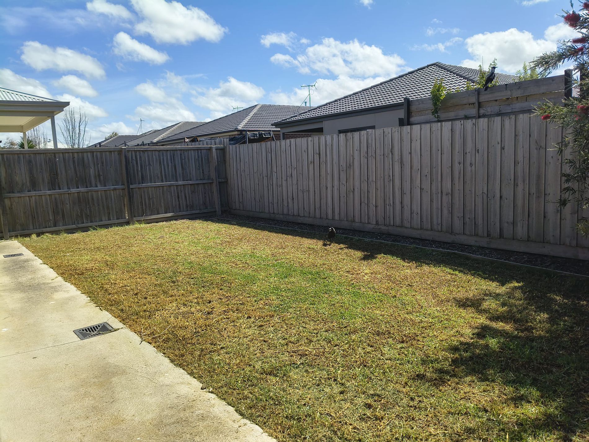 252 Warralily Boulevard, Armstrong Creek
