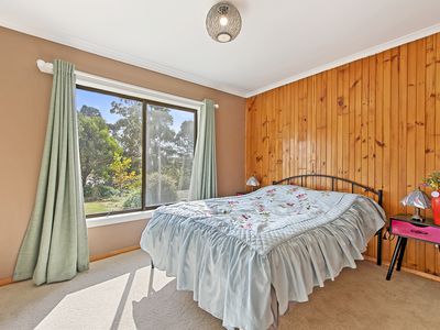 211 Back Line Road, Forest
