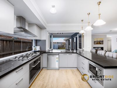 126 Thoroughbred Drive, Clyde North