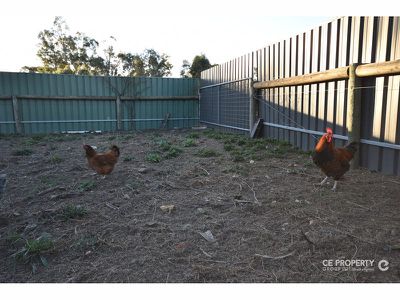 23 Railway Terrace, Mount Pleasant