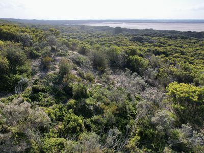 Lot 26, Railway Terrace North, Beachport