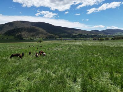 Lot 1, Sec 19, "The Block" Murray Valley Highway, Bullioh