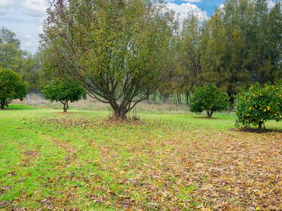 164 HUON KIEWA ROAD, Tangambalanga