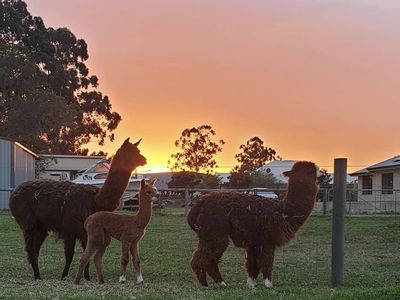 26 Jersey Road, Oakford