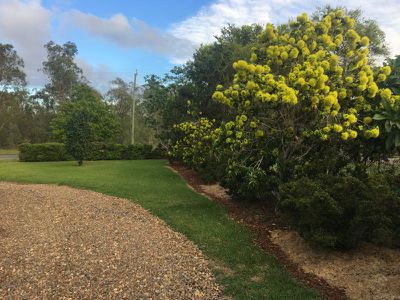 119 Poplar Street, Walloon