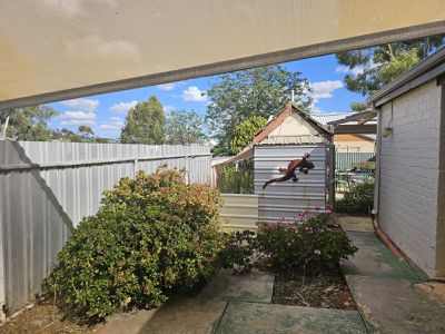 10 Thornton Avenue, Kellerberrin