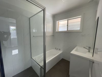 19 Terry Street, Tamworth