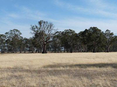 343 Dunns Road, Wonwondah East