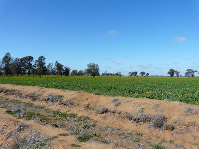 Racecourse Road, Tocumwal