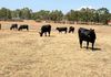 5R Whylandra Crossing Road, Dubbo