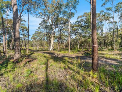 740 Sussex Inlet Road, Sussex Inlet
