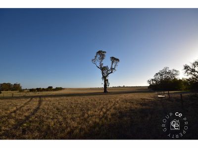 Angas Valley