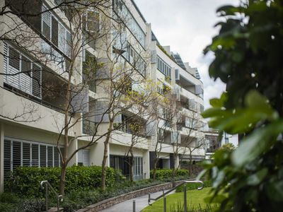 313 / 50 McLachlan Avenue, Rushcutters Bay