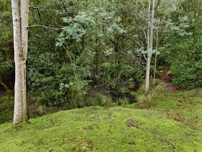 254 Guys Road , Cygnet
