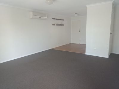 91 Begonia Street, Browns Plains