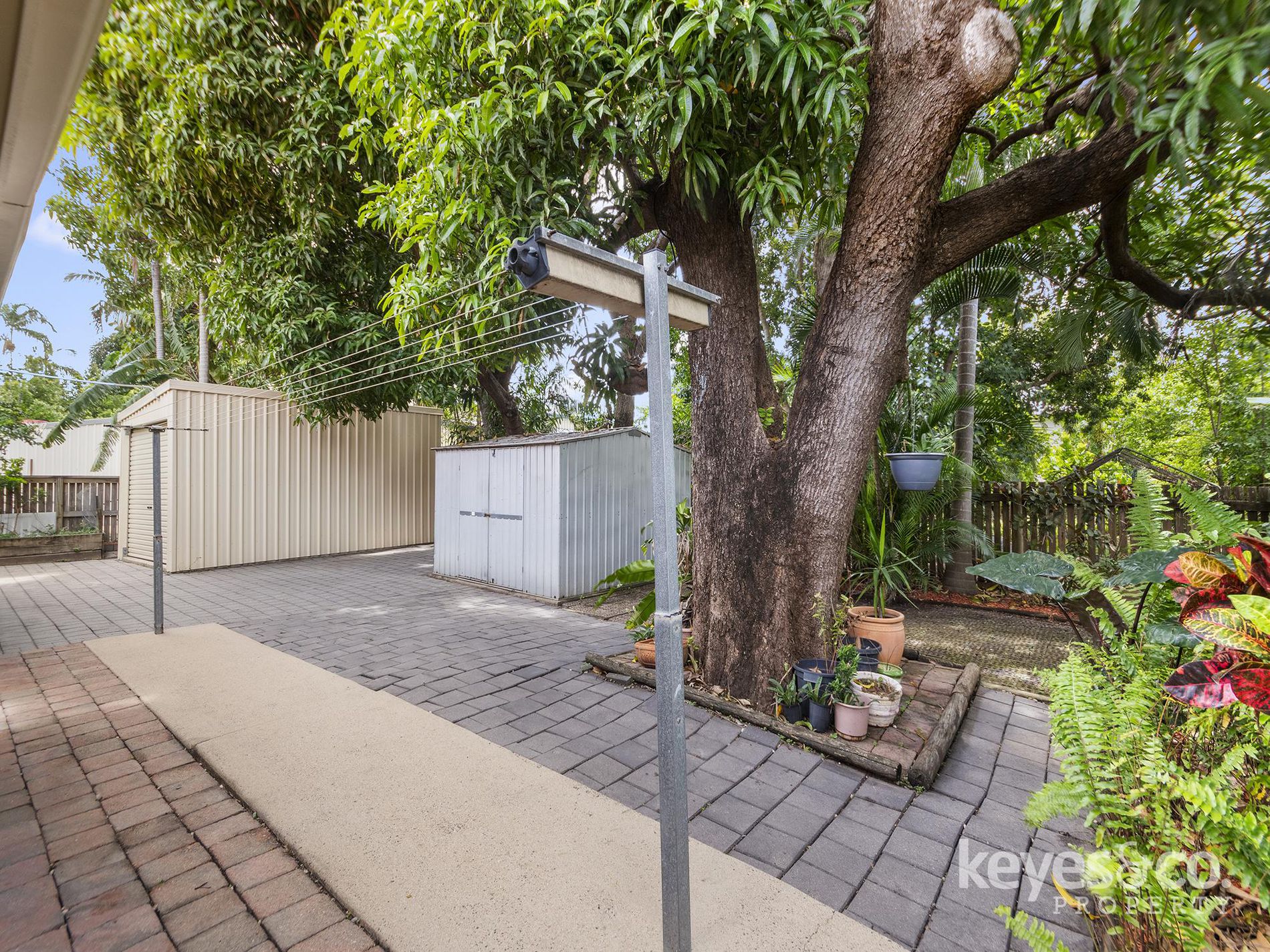 55 Mango Avenue, Mundingburra