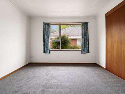 29 Jeffery Street, Andersons Bay