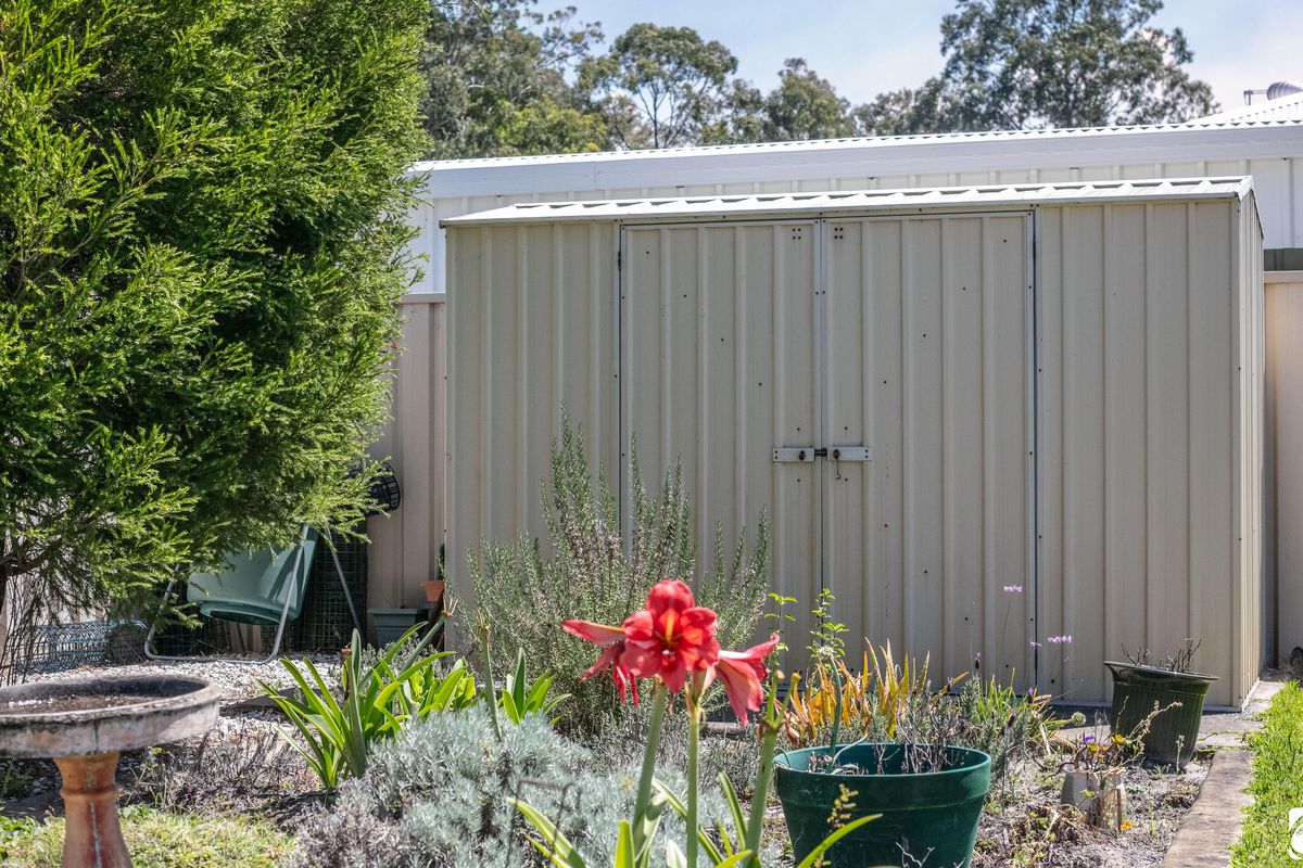 41 Sovereign Street, Iluka