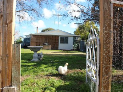 43 Penglase Street, Koondrook