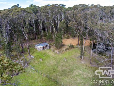 106 Warra Forest Road, Mount Mitchell
