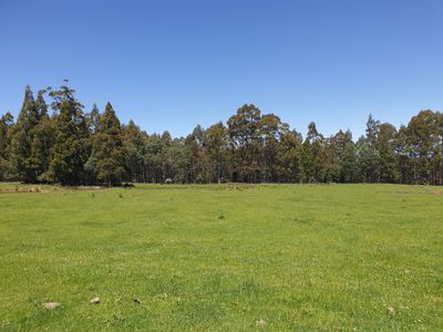 Lot 1 (99 Acres), Coal Mine Road, Kaoota