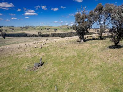 662 Jerrara Road, Crookwell