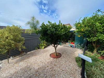 397 Boat Harbour Drive, Scarness