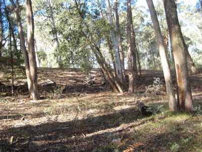 44 Christensen Street, Sawmill Settlement