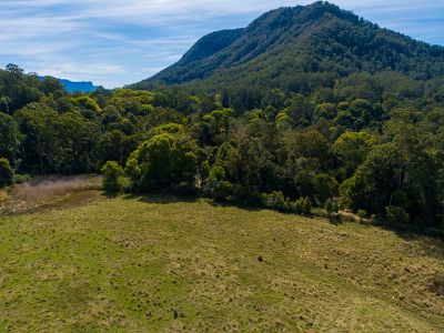 163 Blue Knob Road, Nimbin