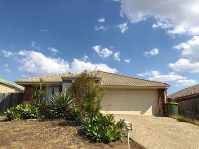 50 Dornoch Crescent, Raceview