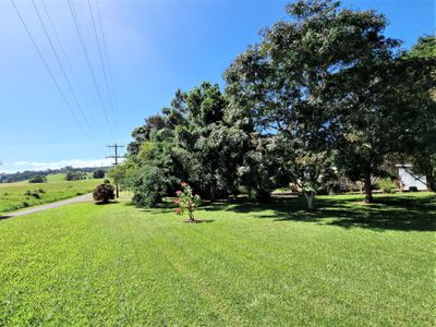 21 Harper Avenue, Yungaburra