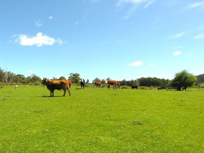 Braeside Road, Franklin