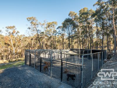 2 Ward Crescent, Glen Innes