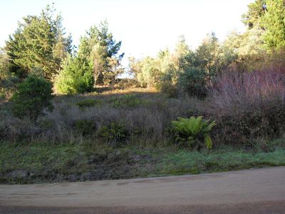 Old Road, Franklin