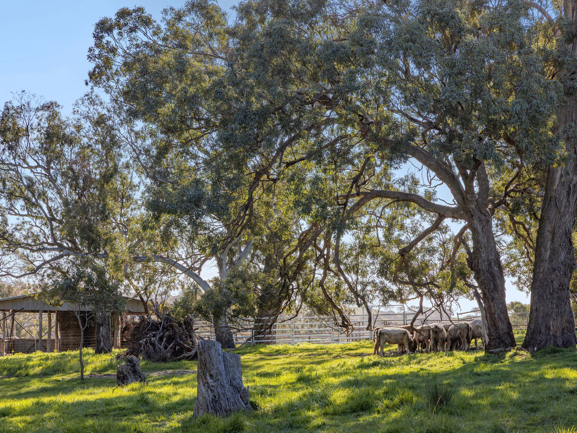 1469 Kyneton-Redesdale Road, Barfold