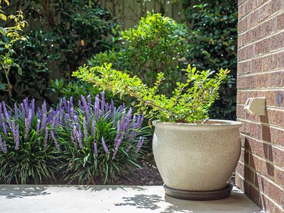 1 / 42 Ross Street, Sale