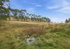 820 Ellendale Road, Ellendale