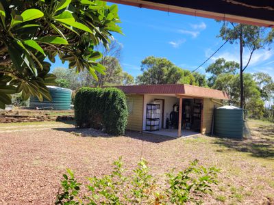 32 WILLOUGHBY STREET, Willows