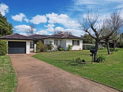 Dubbo