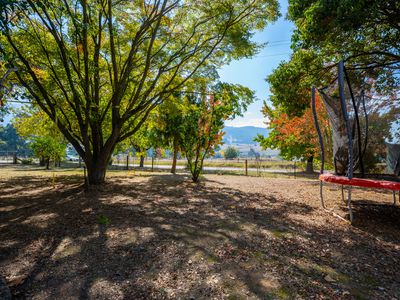 1454 Yackandandah-Dederang Road, Dederang