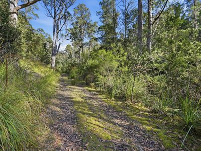 111 Underwoods Road, Nicholls Rivulet