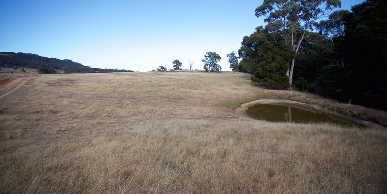 441  Coach Road, Strathbogie