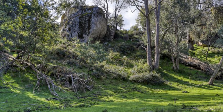 190 Kippings Road, Strathbogie