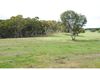 31 Kinross Lane, Orange